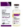 Buy Depo Testosterone Online At Gibsonmaxup - #1 Online